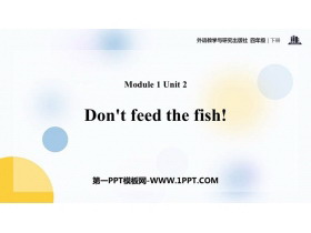 《Don’t feed the fish》PPT课件下载-第一PPT