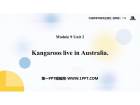 《Kangaroos live in Australia》PPT课件下载-第一PPT