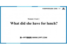 《What did she have for lunch?》PPT课件下载-第一PPT