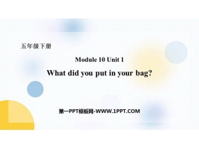 《What did you put in your bag?》PPT免费课件-第一PPT