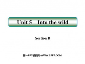 《Into the wild》SectionB PPT课件-第一PPT