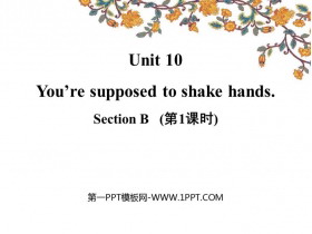 《You are supposed to shake hands》SectionB PPT(第1课时)-第一PPT