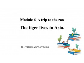 《The tiger lives in Asia》PPT免费课件下载-第一PPT
