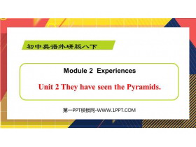 《They have seen the Pyramids》Experiences PPT优秀课件-第一PPT