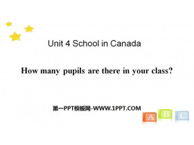 《How many pupils are there in your class?》School in Canada PPT-第一PPT