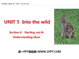 《Into the wild》Section A PPT-第一PPT