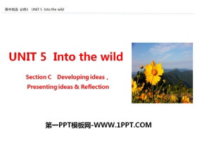 《Into the wild》Section C PPT-第一PPT