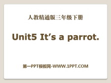 《It’s a parrot》PPT课件4-第一PPT
