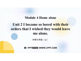 《I became so bored with their orders that I wished they would leave me alone》Home alone PPT免费下载-第一PPT