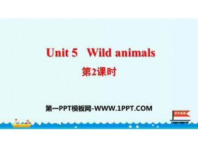 《Wild animals》PPT课件(第2课时)-第一PPT