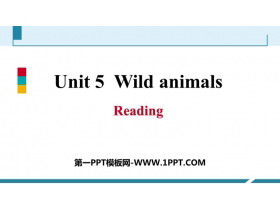 《Wild animals》Reading PPT习题课件-第一PPT