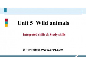 《Wild animals》Integrated skills-第一PPT
