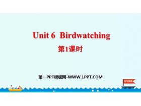 《Birdwatching》PPT课件(第1课时)-第一PPT