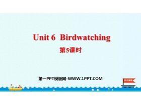 《Birdwatching》PPT课件(第5课时)-第一PPT