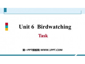《Birdwatching》Task PPT习题课件-第一PPT