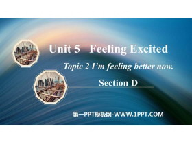 《I’m feeling better now》SectionD PPT课件-第一PPT