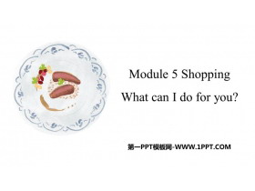 《What can I do for you?》Shopping PPT免费课件-第一PPT
