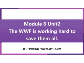《The WWF is working hard to save them all》Animals in danger PPT免费下载-第一PPT