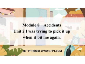 《I was trying to pick it up when it bite me again》Accidents PPT免费下载-第一PPT