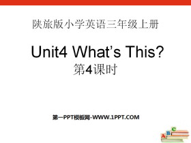 《What’s This?》PPT免费下载-第一PPT