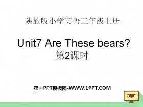 《Are These Bears?》PPT课件-第一PPT
