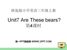 《Are These Bears?》PPT课件下载-第一PPT