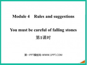 《You must be careful of falling stones》Rules and suggestions PPT课件(第1课时)-第一PPT