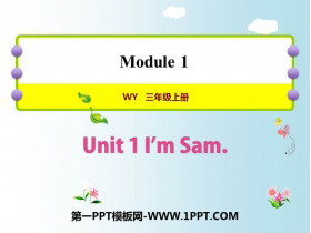 《I’m Sam》PPT免费下载-第一PPT