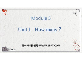 《How many?》PPT免费下载-第一PPT