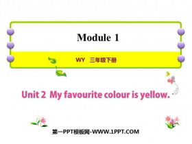 《My favourite colour is yellow》PPT下载-第一PPT