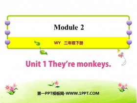 《They are monkeys》PPT免费下载-第一PPT