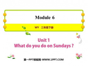 《What do you do on Sundays?》PPT免费课件-第一PPT