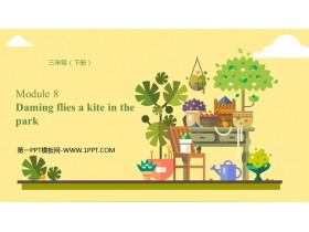 《Daming flies a kite in the park》PPT优质课件-第一PPT