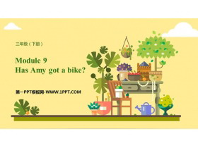 《Has Amy got a bike?》PPT免费课件-第一PPT