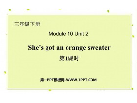 《She’s got an orange sweater》PPT课件(第1课时)-第一PPT