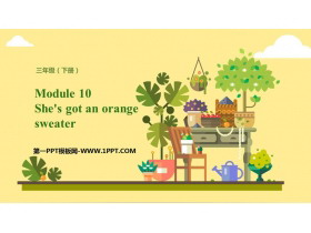 《She’s got an orange sweater》PPT免费下载-第一PPT
