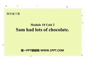 《Sam had lots of chocolates》PPT优秀课件-第一PPT