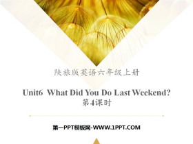 《What Did You Do Last Weekend?》PPT教学课件-第一PPT