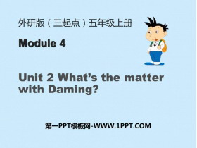 《What’s the matter with Daming?》PPT免费下载-第一PPT