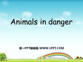 《Animals in danger》PPT-第一PPT