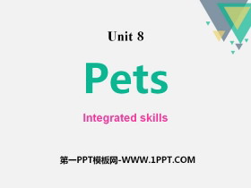《Pets》Integrated skillsPPT-第一PPT