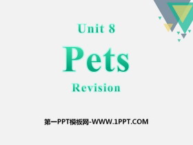 《Pets》RevisionPPT-第一PPT
