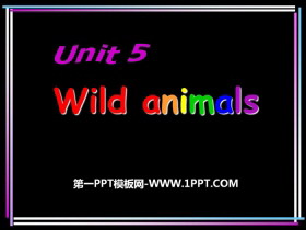 《Wild animals》PPT-第一PPT