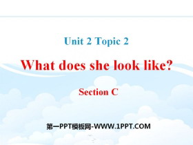 《What color is his hair?》SectionC PPT-第一PPT