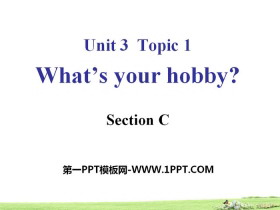 《What’s your hobby?》SectionC PPT-第一PPT