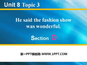 《He said the fashion show was wonderful》SectionD PPT-第一PPT