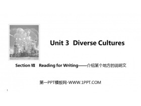 《Diverse Cultures》SectionⅦ PPT课件-第一PPT