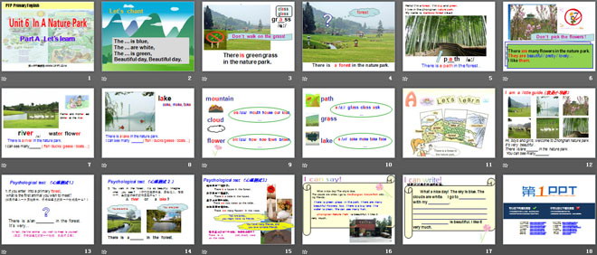 图片[2]-《In a nature park》PPT课件2-第一PPT