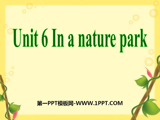 图片[1]-《In a nature park》PPT课件4-第一PPT