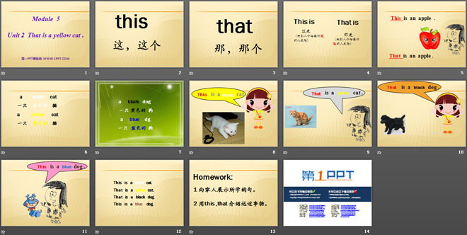 图片[2]-this_is_a_yellow_cat-第一PPT